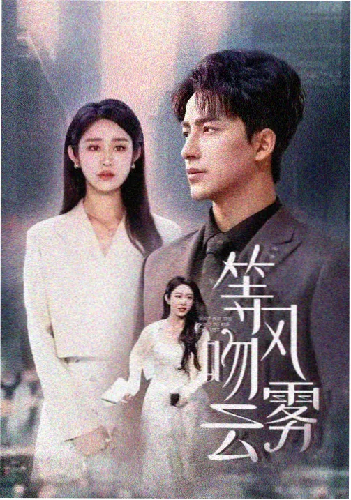 南来北往 国产剧免费观看