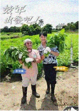 信号 日韩剧高清在线