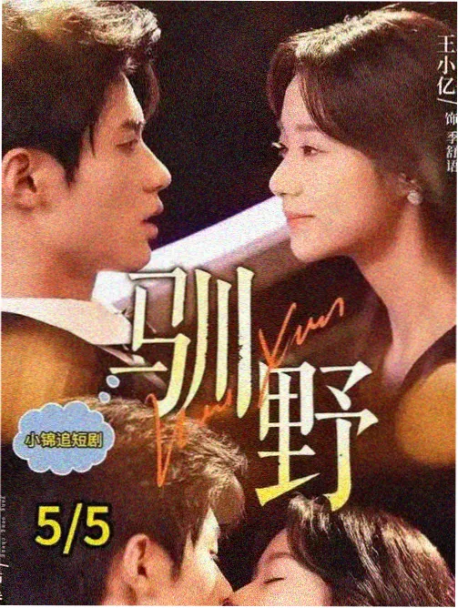 父母爱情 经典电视剧高清
